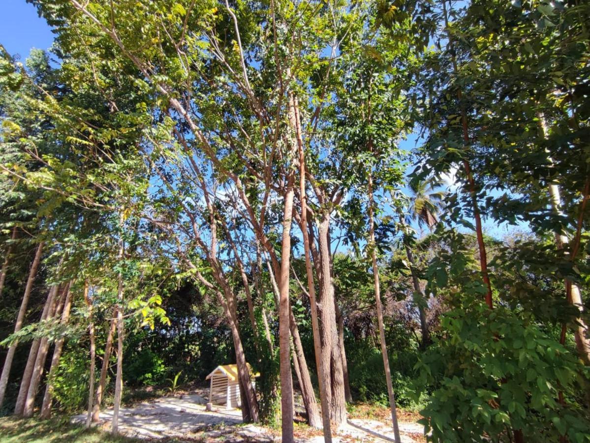 Casa Nova 2 Βίλα São José da Coroa Grande Εξωτερικό φωτογραφία